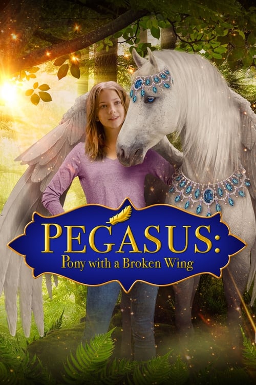 Poster for Pegasus: Pony With a Broken Wing