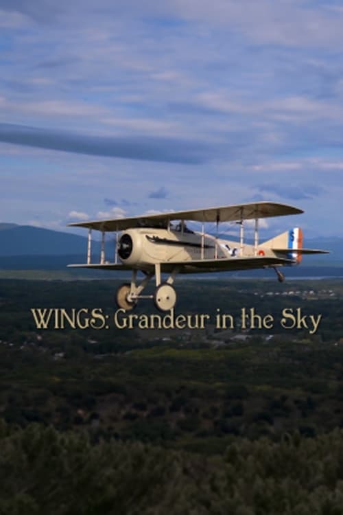 Poster for Wings: Grandeur in the Sky