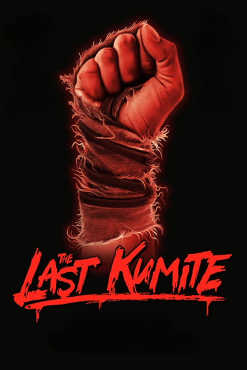 Poster for The Last Kumite