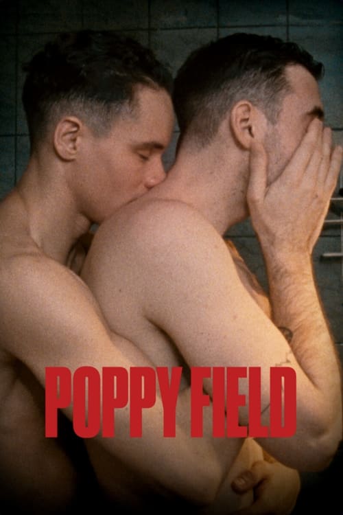 Poster for Poppy Field
