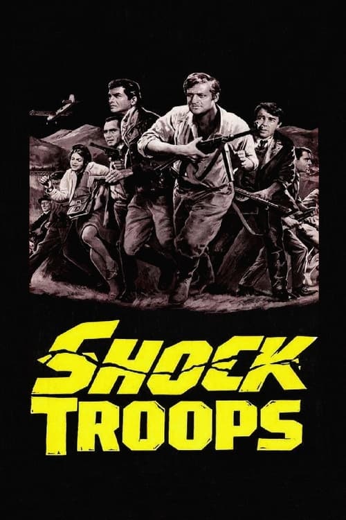 Poster for Shock Troops
