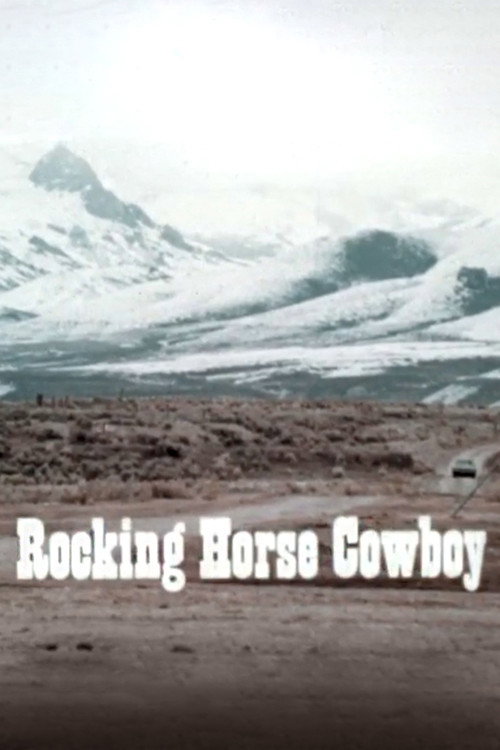 Rocking Horse Cowboy