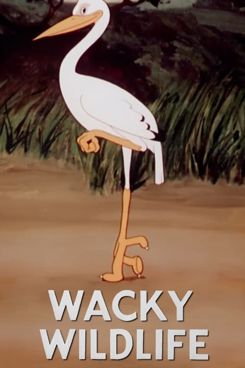 Poster for Wacky Wildlife