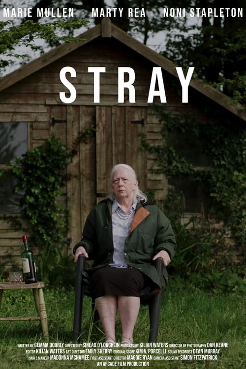 Poster for Stray
