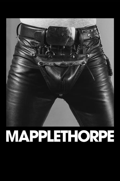 Poster for Mapplethorpe
