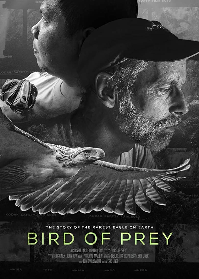 Theatrical poster for Bird of Prey: RVAEFF