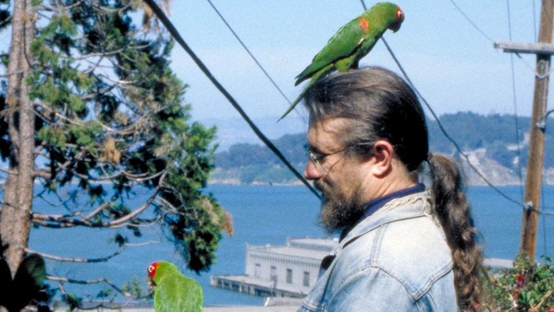 Backdrop image for movie The Wild Parrots of Telegraph Hill