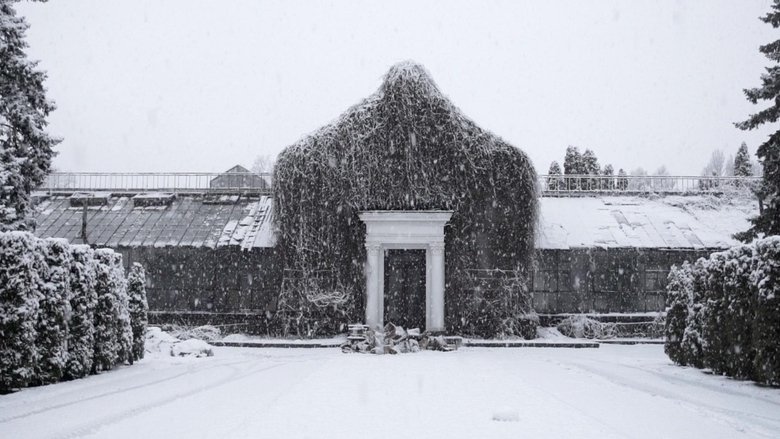 Backdrop image for movie The Winter Garden’s Tale
