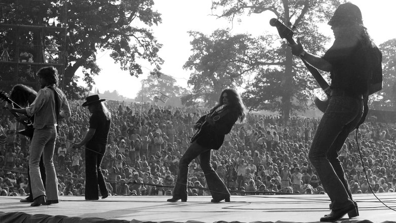 Backdrop image for movie Lynyrd Skynyrd: Live at Knebworth '76