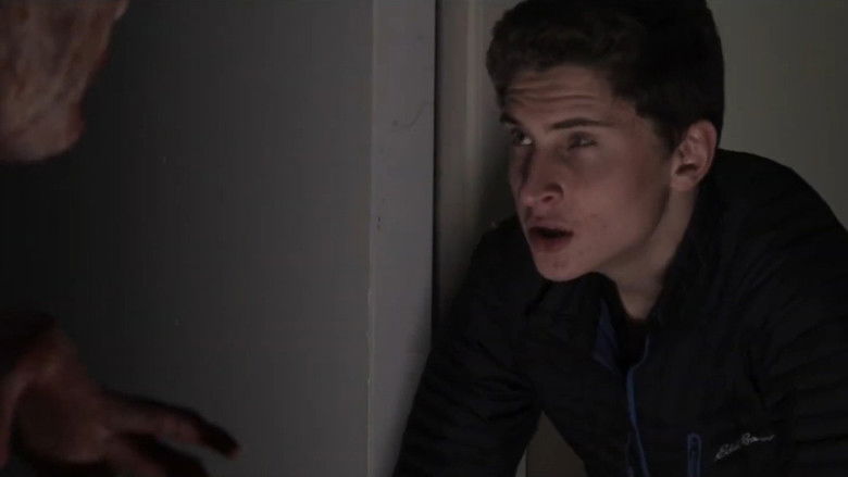 Backdrop image for movie Grey Matter