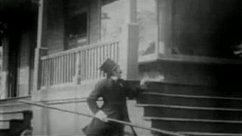 Backdrop image for movie The Curtain Pole