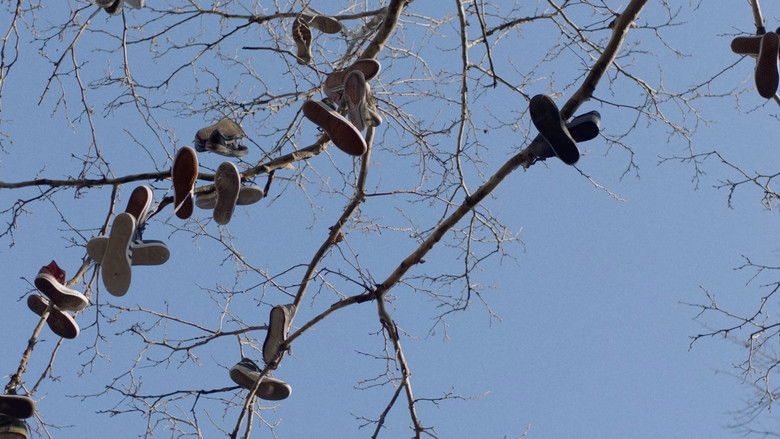 Backdrop image for movie Promise