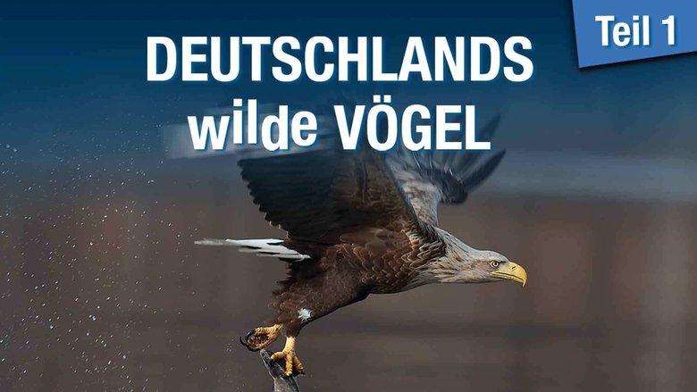 Backdrop image for movie Deutschlands wilde Vögel