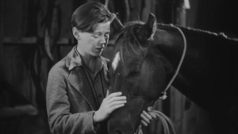 Backdrop image for movie Two Thoroughbreds