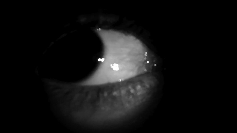 Backdrop image for movie Something Awful