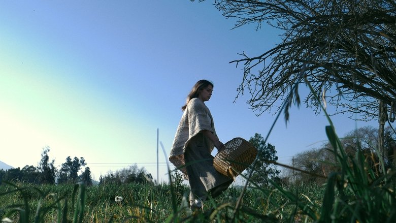 Backdrop image for movie El Camino del Diablo