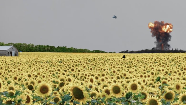 Backdrop image for movie As the Sunflower Whispers