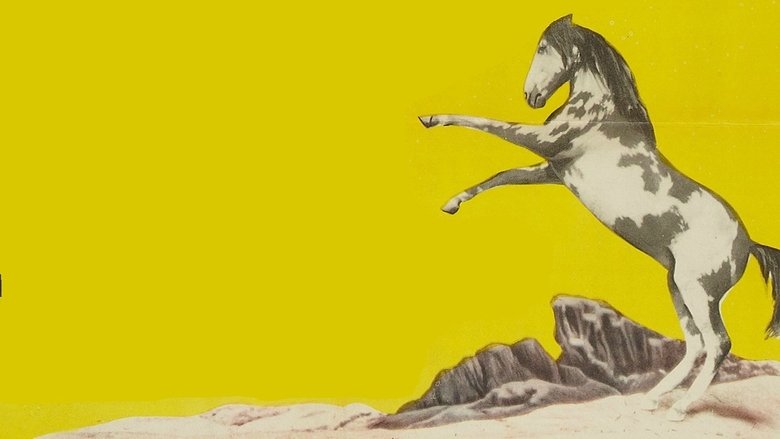 Backdrop image for movie Thunderhoof