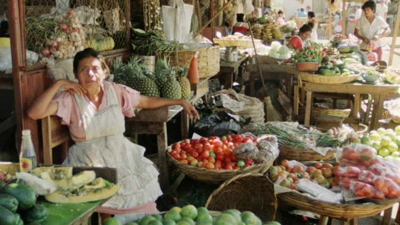 Backdrop image for movie Unterwegs in Nikaragua - Eine filmische Reisebeschreibung für Kinder