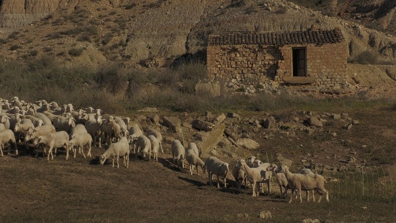 Backdrop image for movie Cierzo