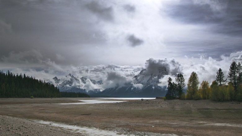 Backdrop image for movie Population Zero