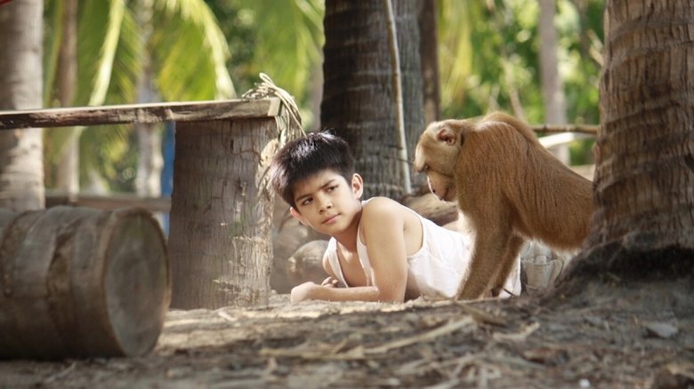 Backdrop image for movie Kapi