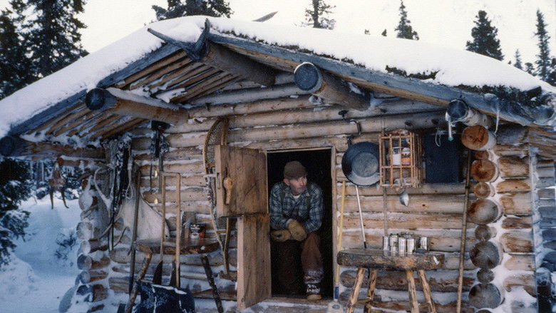 Backdrop image for movie The Frozen North