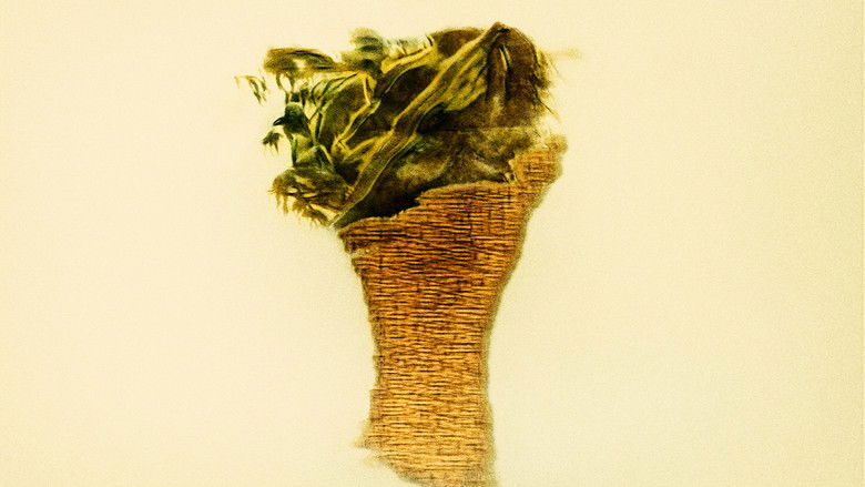 Backdrop image for movie Anamnesis