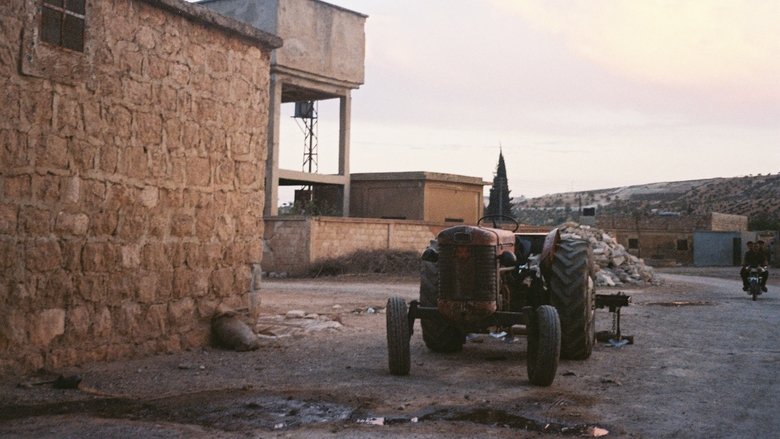 Backdrop image for movie The Boy of The Fish
