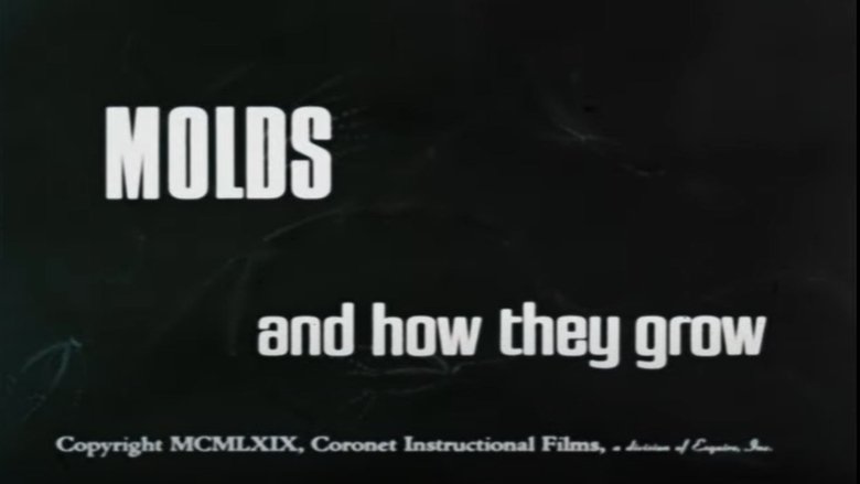 Backdrop image for movie Molds and How They Grow