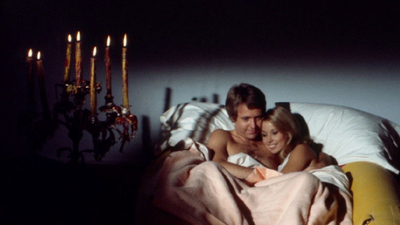 Backdrop image for movie Gidget Gets Married