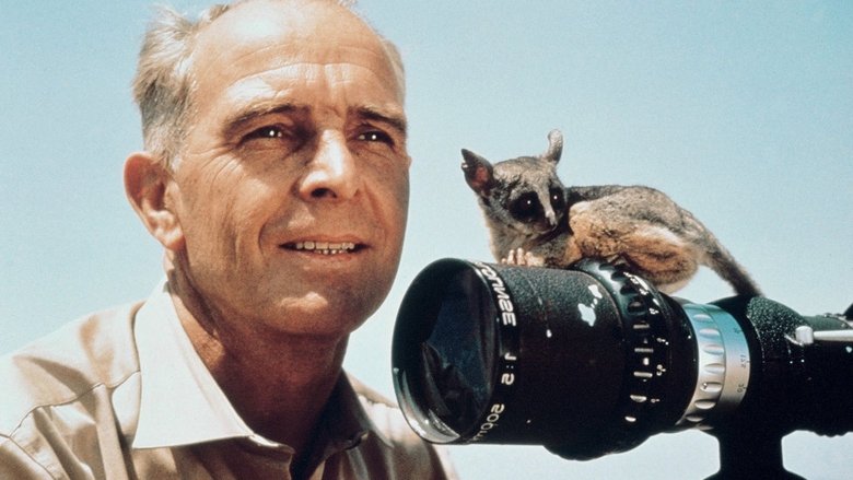 Backdrop image for movie Serengeti Shall Not Die