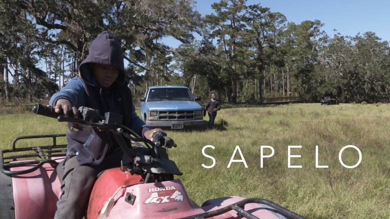 Backdrop image for movie Sapelo