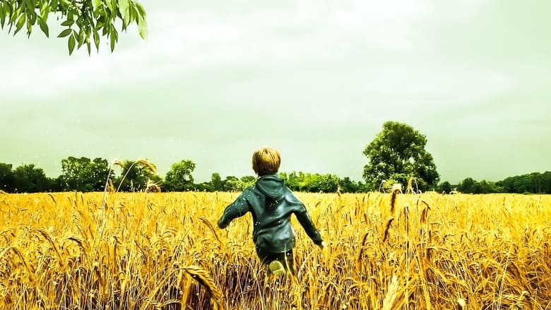 Backdrop image for movie Fireflies in the Garden