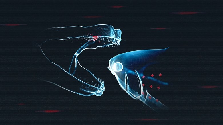 Backdrop image for movie Shark vs. Tuna