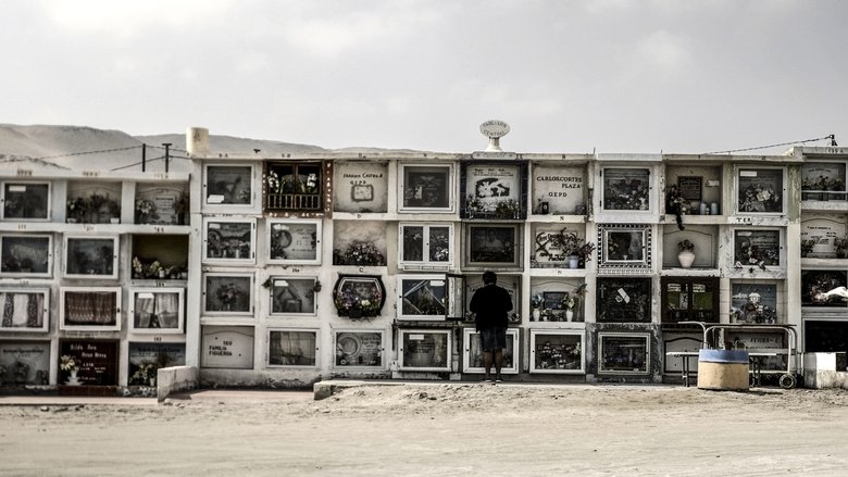 Backdrop image for movie Arica
