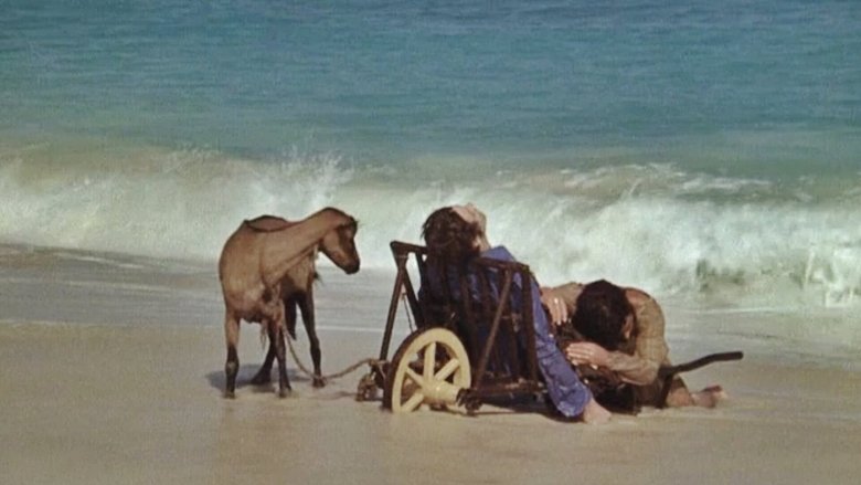 Backdrop image for movie I Will Walk Like a Crazy Horse