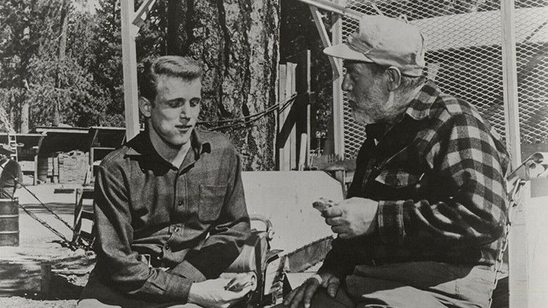 Backdrop image for movie Freckles