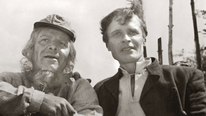 Backdrop image for movie Rantasuon raatajat