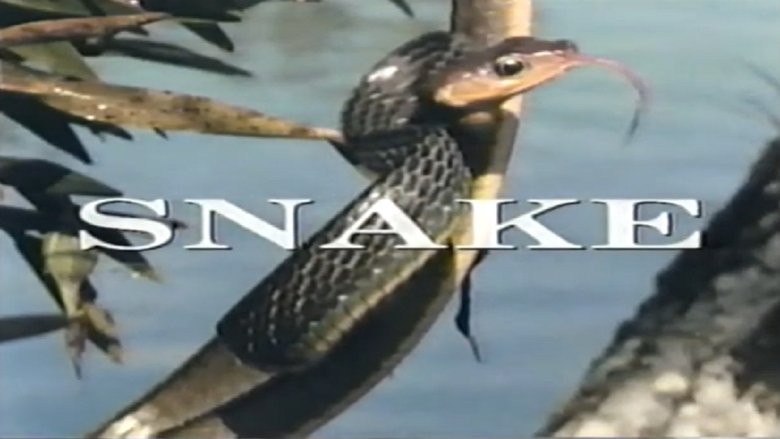 Backdrop image for movie Predators of the Wild: Snake