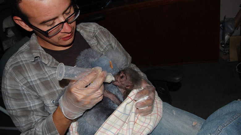 Backdrop image for movie The Center: Gibbons and Guardians