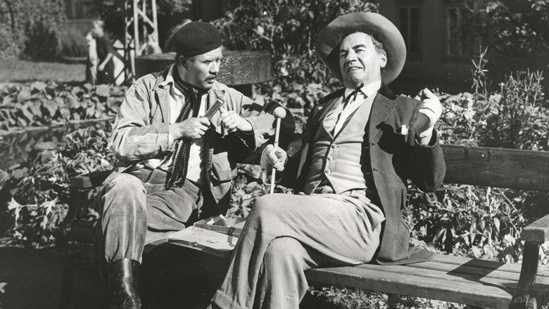 Backdrop image for movie Muuan sulhasmies