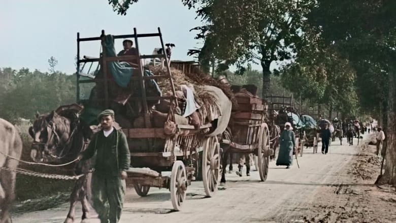 Backdrop image for movie 1914, et soudain la guerre !