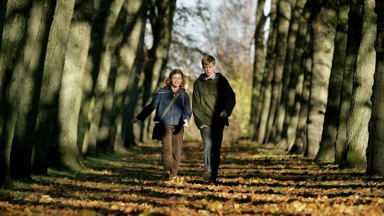 Backdrop image for movie Aching Hearts