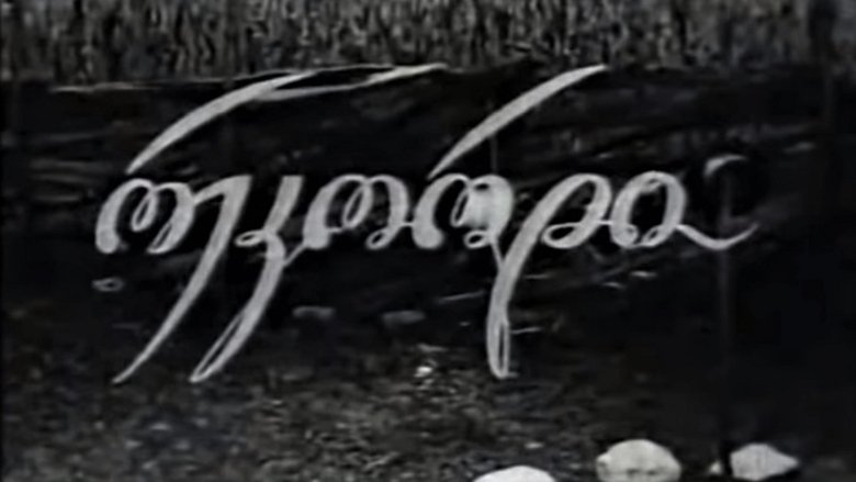 Backdrop image for movie Record