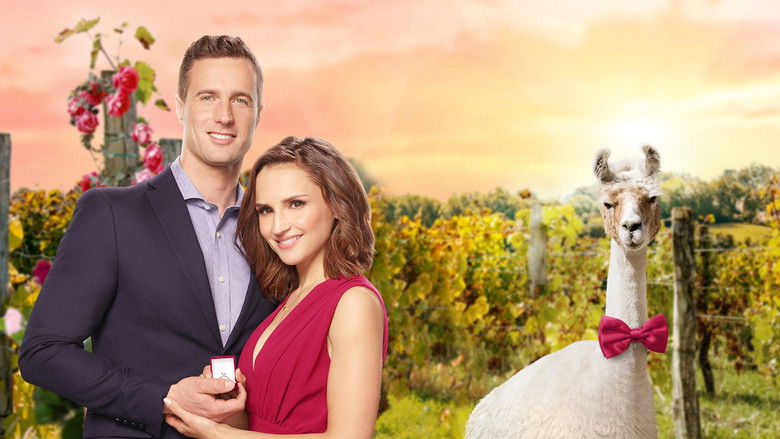 Backdrop image for movie Valentine in the Vineyard