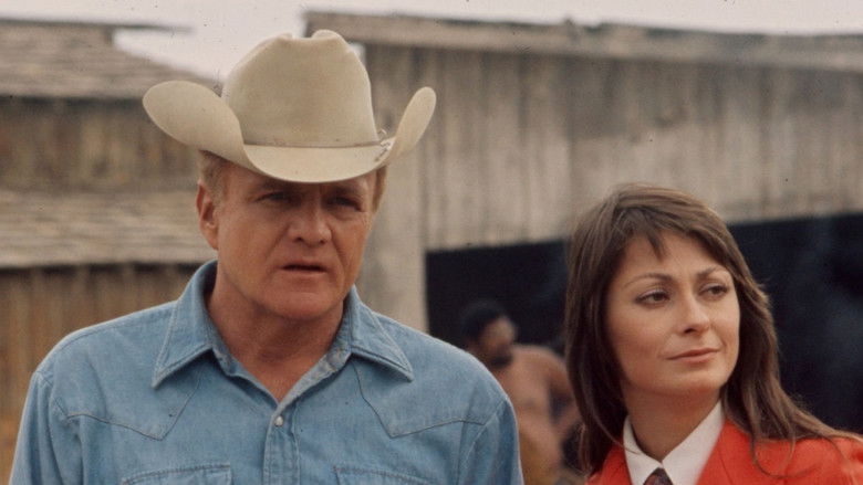 Backdrop image for movie Second Chance