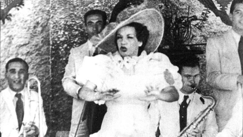 Backdrop image for movie Hello, Hello, Brazil!