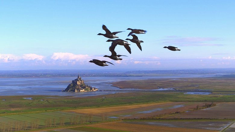 Backdrop image for movie Wings 3D