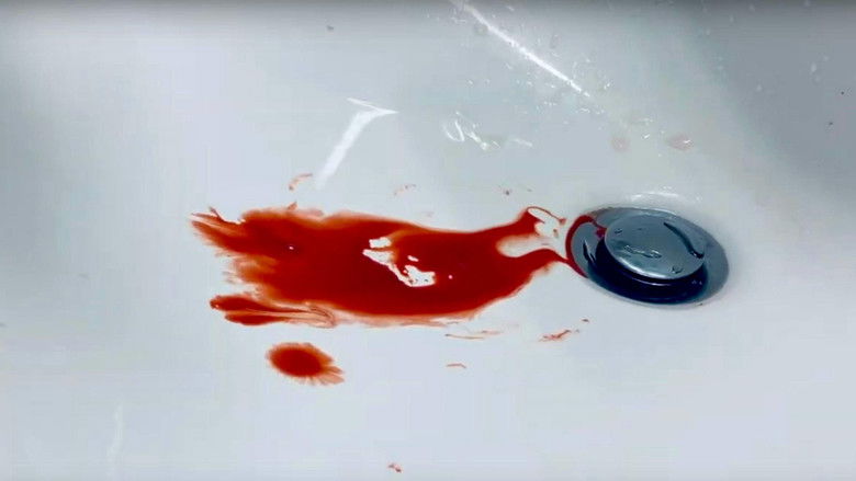 Backdrop image for movie The Revenger